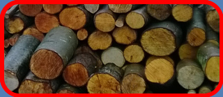 Brandhout